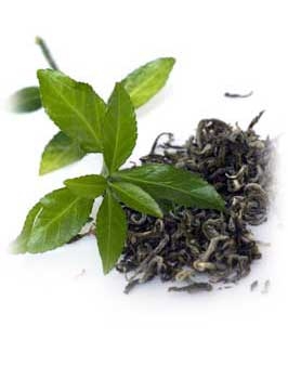 La sustancia presente en el té verde es conocida como epigalocatequina galato (EGCG). 